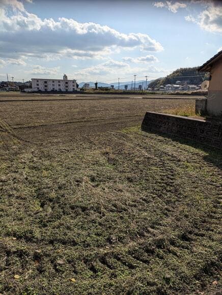【画像】ワイが普通に散歩するスレ