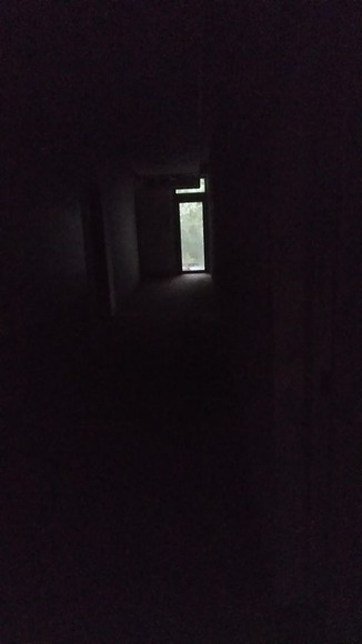 254