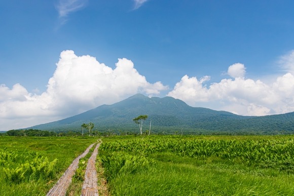 最近の若い世代は尾瀬＝夏の思い出（曲）＝ﾐｽﾞﾊﾞｼｮｳのイメージはあんまりない？