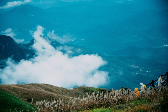 ヤマテンも結構外れるからなぁ 有料で見るだけの価値があるかというと