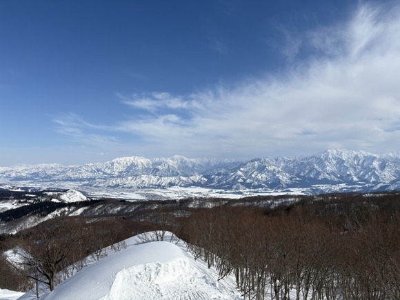 【画像】山に来た