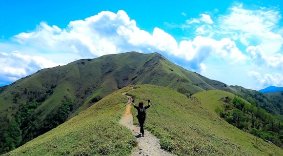 チャドクガにやられた…クソ痒いしぬ