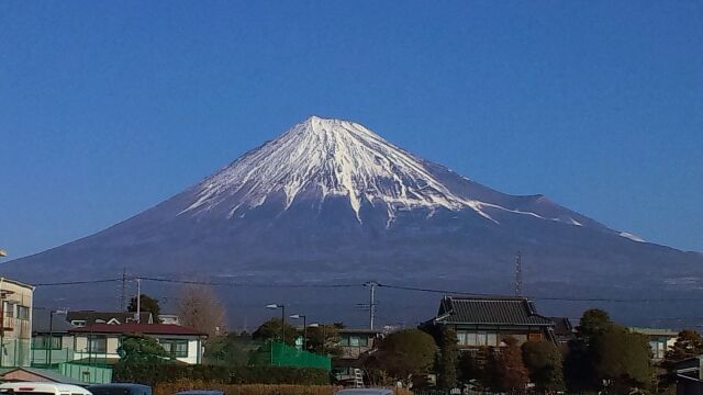 滑落 身元 富士山