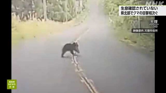 【悲報】奈良市「今まで存在を確認してなかったがとうとうクマが出現した」