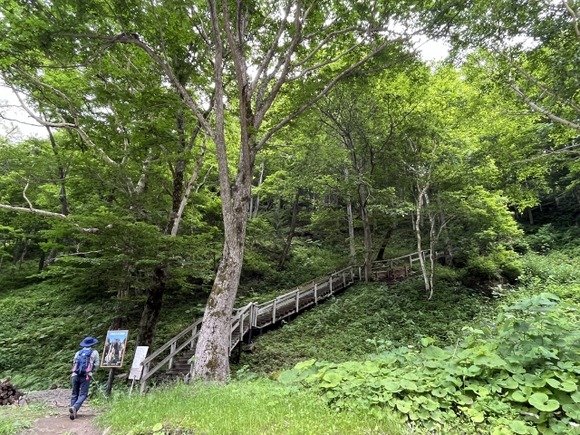休日に登りやすい山行くと夫婦や家族ばっかでソロは肩身狭いな