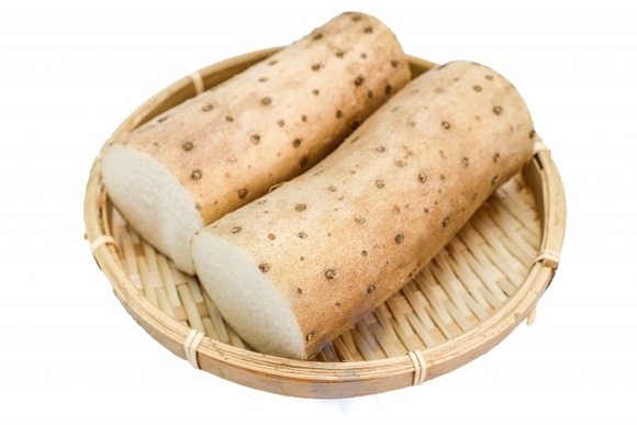 自然薯←こいつの正体ガチでヤバすぎた