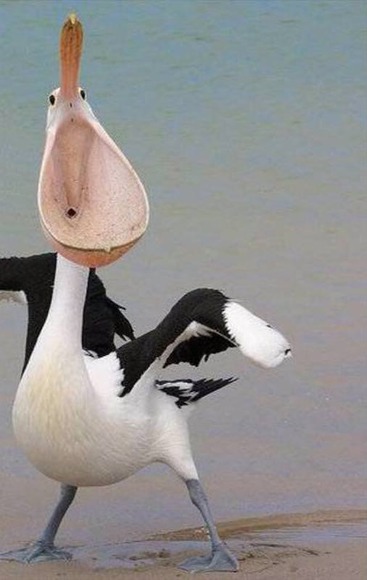 145