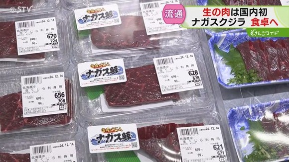 【悲報】クジラの肉が売却開始、捕鯨活発化か