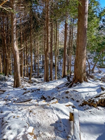 この季節が一番嫌だ…雪崩れます、雪解け落石します、暑い日差しからの冬に逆戻り