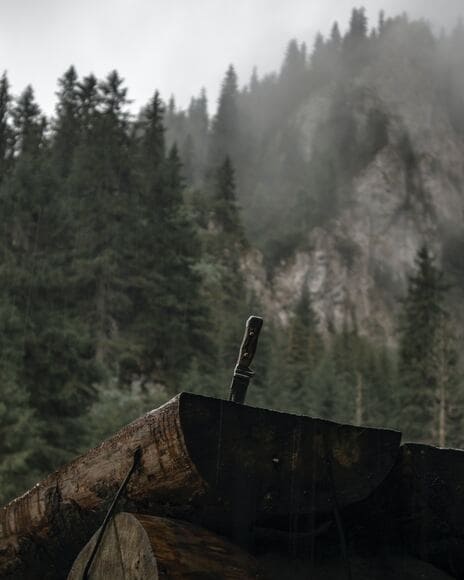 【画像】超絶カッコイイナイフ届いたったったｗｗｗｗｗｗｗｗ