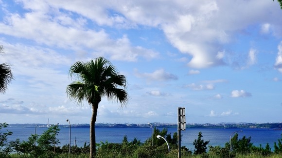 【画像】これが沖縄県のサービスエリアのメシｗｗｗｗｗｗｗｗｗｗｗｗｗｗｗｗｗｗｗ