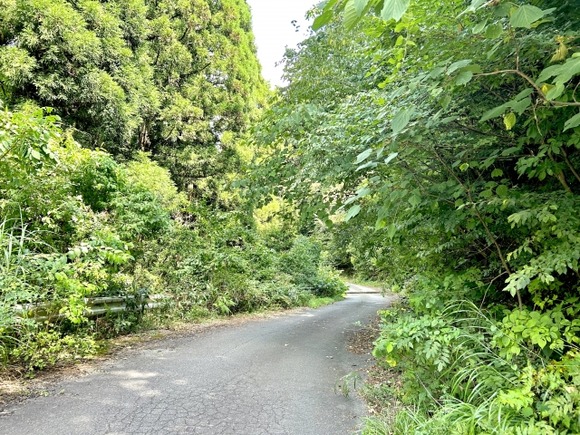 山道を走行中に対向車が来たのでできるだけ左に寄せて車を止めた←○かバツか