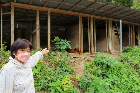 【兵庫】クマに襲われたか？犬が腹を食いちぎられ死ぬ