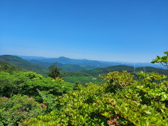 ワイが安い山林を買って、日本国からの独立を宣言したらどうなるの？