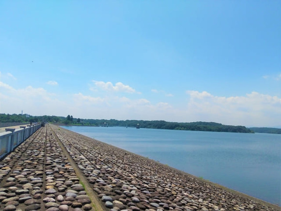 23044408_s (1)