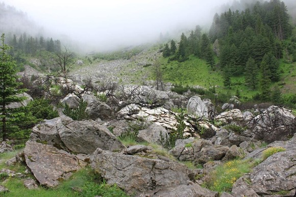 mountain