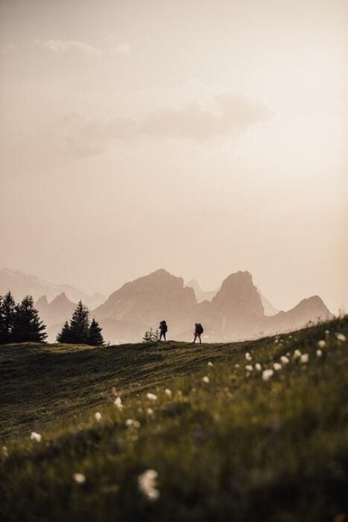 hiker