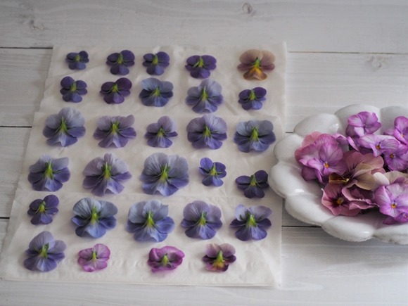 【画像】じいちゃんが育てた花で押し花のストラップを作った