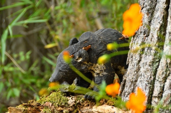 【※】農家「うわークマに引っかかれたー」