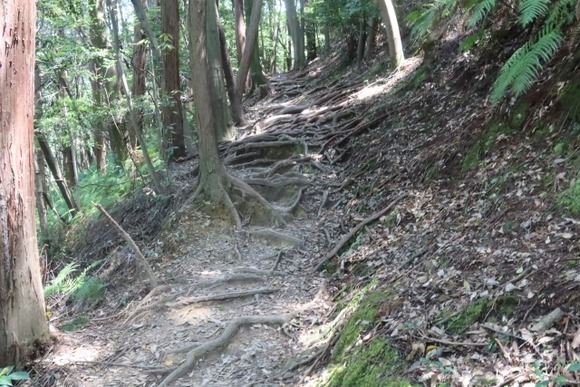 今どきスマホ持ってても迷うのって、高地寒冷でバッテリー切れくらいしか考えられないがどうなの？
