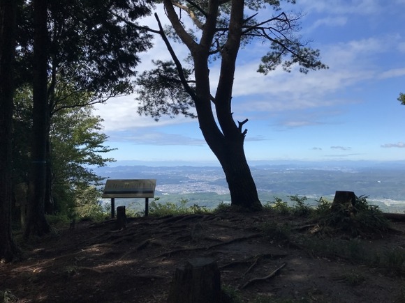 仮想通貨で400万含み損ワイ、今日も元気にハイキングw