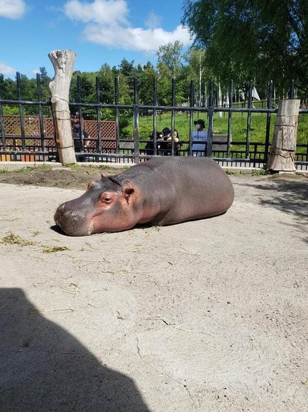 2713