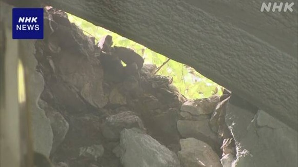 K10014224441_2310131514_1013152958_01_06