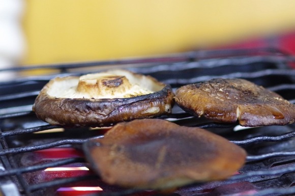 【悲報】キノコ、誰も食べてなかった