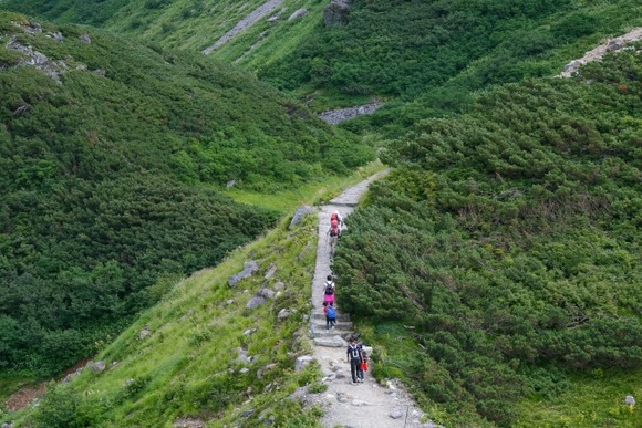 昨日ぽちった「タニオズモ1P」届いたから部屋で張ってみた
