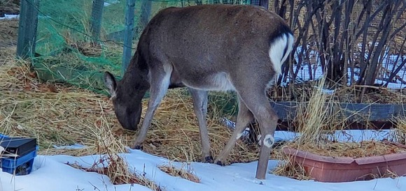 【画像】一泊２日2食付きで11000円のやべー宿に止まった結果ｗｗｗｗｗｗｗｗｗｗｗ
