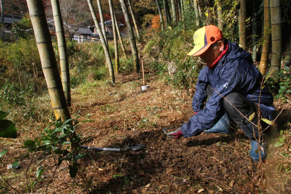 【兵庫】クマがわなにかかったシカ襲う　3日で2件「非常にまれ」 味覚えた特定の個体か
