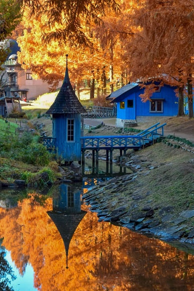 【画像】いい天気だから秋の公園に行ったった