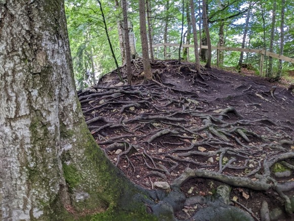 岐阜県警・郡上署次長が山（標高300M)で死亡…登山中に滑落 10メートル転げ落ち頭を打ったか