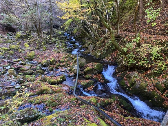 川苔山遭難多いな。逆コースで歩くと下山で疲れて100m落ちるので危険､にビビって未だに行ったことない