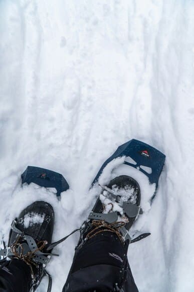 ド定番のミレーサースフェー40+5を買った