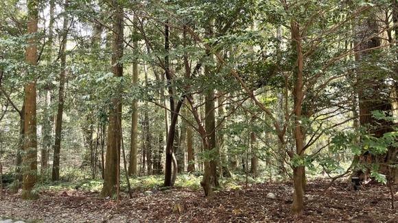 【キャンプ場行方不明】小倉美咲さんの母に聞く誹謗中傷と戦い続ける理由…行方不明から4年