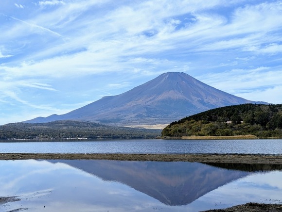 富士山にカモシカなんているの？