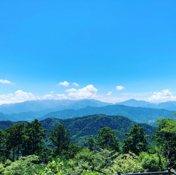 高尾山って一人で行っても楽しめる？