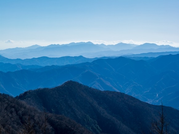 【ｪ)･｀】東京・奥多摩町の林道に男性遺体…激しい損傷　動物に襲われた可能性も　警視庁