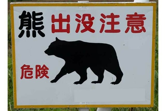 「子どもの命がかかっている。文句を言うなら住んでみろ」秋田のクマ被害、駆除へのクレームに近隣住民が猛反論