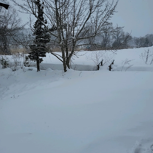 【画像】これを見てくれ。除雪されない田舎ってどうすればいいの？