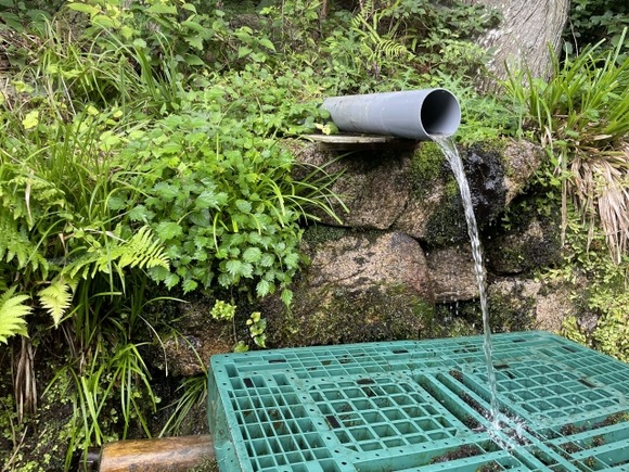 山で川の水飲むときって煮沸した方がいいのかな？