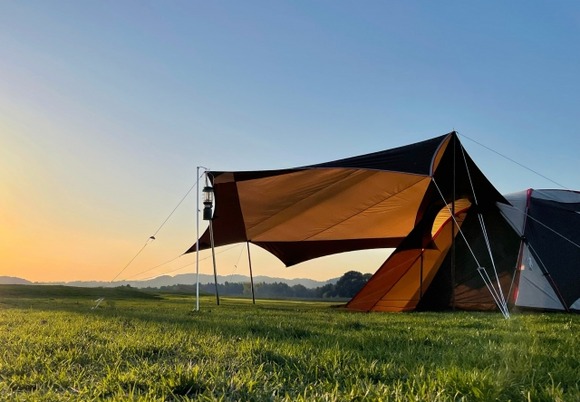 【画像】キャンプ場に変な実があった