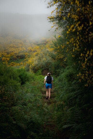 【悲報】登山者「あかん死ぬぅ、、助けに来て」救助隊「お金かかるかもしれないけどいい？」「・・・」