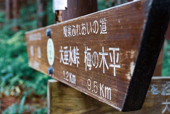 sign