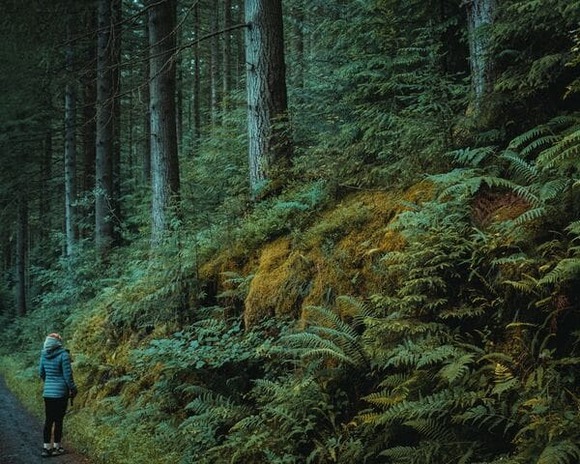 【熊対策】結局、クマと対峙してどこまで冷静に行動できるかだよなー