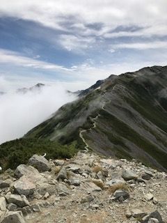 IMG_0304