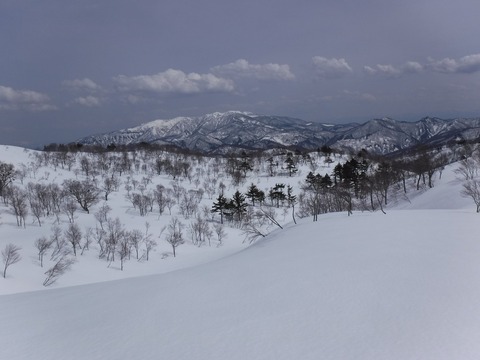DSCF0952