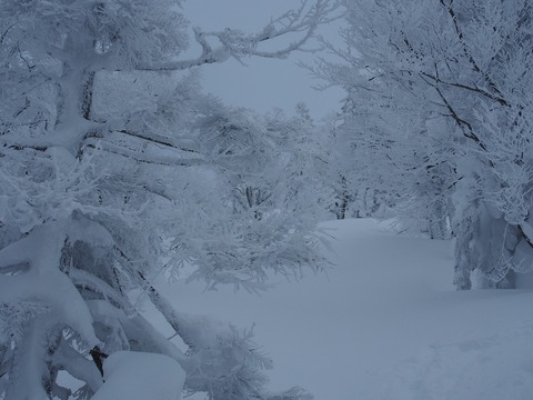 20180219_62