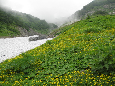 IMG_2706(1)